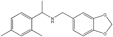 (2H-1,3-benzodioxol-5-ylmethyl)[1-(2,4-dimethylphenyl)ethyl]amine