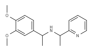 [1-(3,4-dimethoxyphenyl)ethyl][1-(pyridin-2-yl)ethyl]amine|