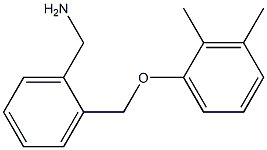 1-{2-[(2,3-dimethylphenoxy)methyl]phenyl}methanamine