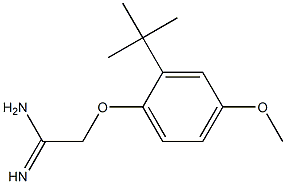 2-(2-tert-butyl-4-methoxyphenoxy)ethanimidamide