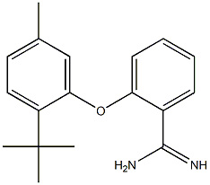 2-(2-tert-butyl-5-methylphenoxy)benzene-1-carboximidamide