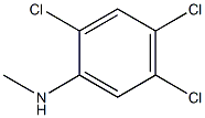 2,4,5-trichloro-N-methylaniline