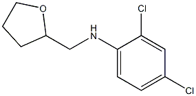 2,4-dichloro-N-(oxolan-2-ylmethyl)aniline