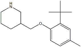 3-(2-tert-butyl-4-methylphenoxymethyl)piperidine