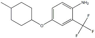 4-[(4-methylcyclohexyl)oxy]-2-(trifluoromethyl)aniline