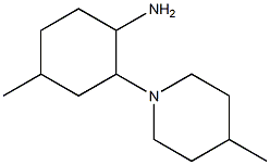 4-methyl-2-(4-methylpiperidin-1-yl)cyclohexanamine