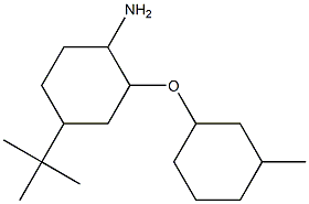4-tert-butyl-2-[(3-methylcyclohexyl)oxy]cyclohexan-1-amine