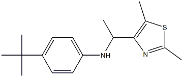 4-tert-butyl-N-[1-(2,5-dimethyl-1,3-thiazol-4-yl)ethyl]aniline