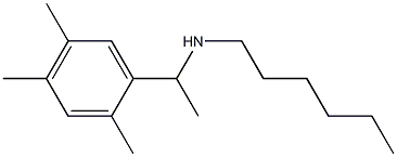hexyl[1-(2,4,5-trimethylphenyl)ethyl]amine