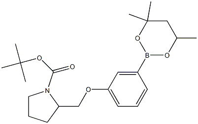 tert-Butyl 2-{[3-(4,4,6-trimethyl-1,3,2-dioxaborinan-2-yl)phenoxy]methyl}pyrrolidine-1-carboxylate