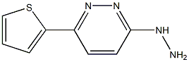 1-[6-(2-Thienyl)pyridazin-3-yl]hydrazine