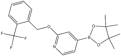 2-(2-(trifluoromethyl)benzyloxy)-4-(4,4,5,5-tetramethyl-1,3,2-dioxaborolan-2-yl)pyridine