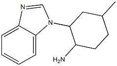 2-(1H-benzimidazol-1-yl)-4-methylcyclohexanamine Structure