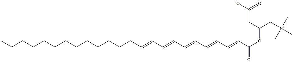 tetracosapentaenoyl carnitine|