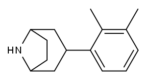 3-(2,3-dimethylphenyl)-8-azabicyclo[3.2.1]octane