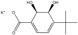 (2R,3S)-1-CARBOXY-4-TERT.-BUTYL-2,3-DI- HYDROXYCYCLOHEX-4,6-DIENE POTASSIUM SALT