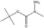 tert-butyl 1-methyl-1-hydrazinecarboxylate Struktur