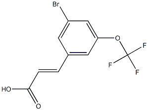 (E)-3-(3-bromo-5-(trifluoromethoxy)phenyl)acrylic acid