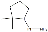 1-(2,2-dimethylcyclopentyl)hydrazine