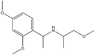 [1-(2,4-dimethoxyphenyl)ethyl](1-methoxypropan-2-yl)amine