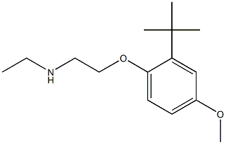 [2-(2-tert-butyl-4-methoxyphenoxy)ethyl](ethyl)amine
