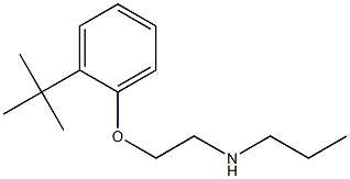 [2-(2-tert-butylphenoxy)ethyl](propyl)amine Structure