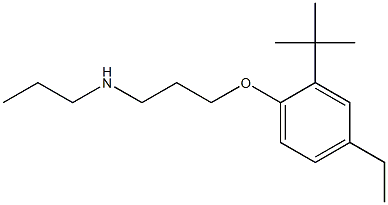 [3-(2-tert-butyl-4-ethylphenoxy)propyl](propyl)amine|