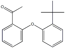 1-[2-(2-tert-butylphenoxy)phenyl]ethan-1-one Structure