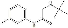 2-(tert-butylamino)-N-(3-methylphenyl)acetamide