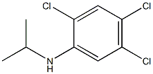 2,4,5-trichloro-N-(propan-2-yl)aniline|
