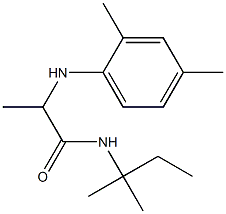 2-[(2,4-dimethylphenyl)amino]-N-(2-methylbutan-2-yl)propanamide