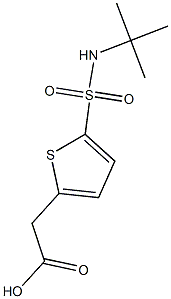 2-[5-(tert-butylsulfamoyl)thiophen-2-yl]acetic acid