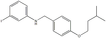 3-iodo-N-{[4-(3-methylbutoxy)phenyl]methyl}aniline