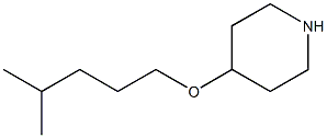 4-[(4-methylpentyl)oxy]piperidine Structure