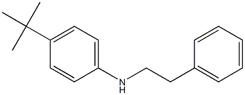 4-tert-butyl-N-(2-phenylethyl)aniline