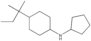 N-cyclopentyl-4-(2-methylbutan-2-yl)cyclohexan-1-amine Structure