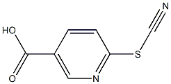 6-(cyanosulfanyl)nicotinic acid