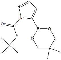 tert-Butyl 5-(5,5-dimethyl-1,3,2-dioxaborinan-2-yl)-1H- pyrazole-1-carboxylate Struktur
