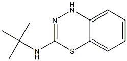 3-tert-ブチルアミノ-1H-4,1,2-ベンゾチアジアジン 化学構造式