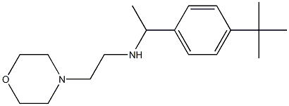 [1-(4-tert-butylphenyl)ethyl][2-(morpholin-4-yl)ethyl]amine