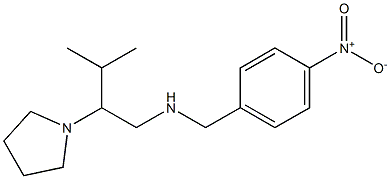 [3-methyl-2-(pyrrolidin-1-yl)butyl][(4-nitrophenyl)methyl]amine