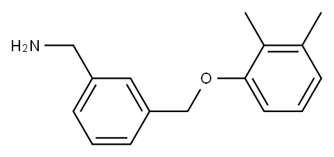 1-{3-[(2,3-dimethylphenoxy)methyl]phenyl}methanamine