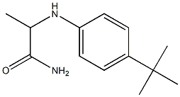 2-[(4-tert-butylphenyl)amino]propanamide