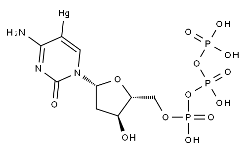 5-mercurideoxycytidine triphosphate