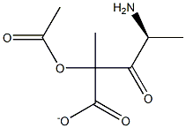 acetyl-alanyl-lactate