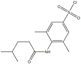 3,5-dimethyl-4-(4-methylpentanamido)benzene-1-sulfonyl chloride