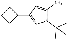 1-Tert-Butyl-3-Cyclobutyl-1H-pyrazol-5-amine Structure