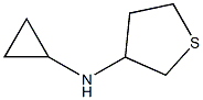 N-Cyclopropyltetrahydrothiophen-3-amine Structure