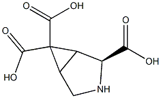 6,6-dicarboxy-3,4-methano-L-proline