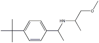 [1-(4-tert-butylphenyl)ethyl](1-methoxypropan-2-yl)amine